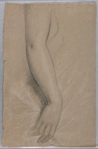 Study of an Arm for Portrait of Mrs. Rutherford B. Hayes by Daniel Huntington
