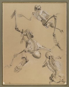 Study of skeletons, 1848 by Daniel Huntington