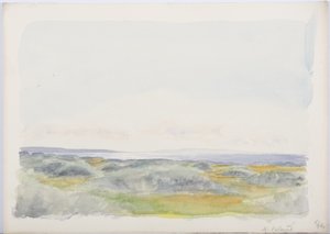 1916 by Daniel Oliver