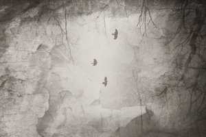 Ethereal Birds Winter Flight by Daniela Riegler