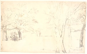 Landscape with Scattered Trees