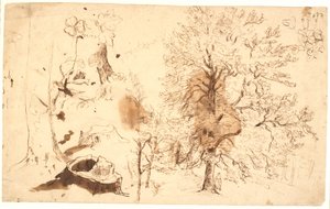 Study with Trees, Plants, and Stumps