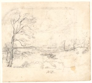 View Over a Hilly and Wooded Landscape