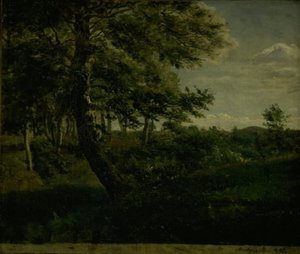 Ørsbjerg Forest at Aarup, Funen