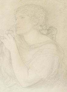 Study of Fanny Cornforth, 1863 by Dante Gabriel Charles Rossetti
