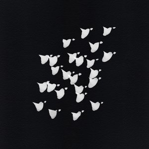 Abstract Bird Flight by Danushka Abeygoda