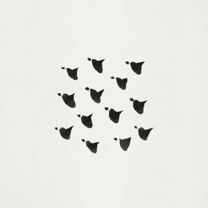 Abstract Flock Flight