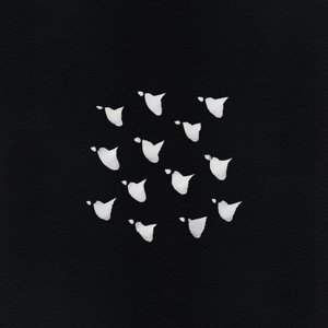 Abstract Flying Birds