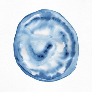 Fluid Indigo Swirl by Danushka Abeygoda