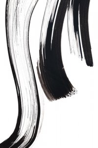 Fluid Ink Strokes by Danushka Abeygoda