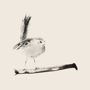 Long-Tailed Tit Drawing by Danushka Abeygoda