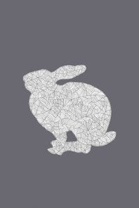 Patterned White Rabbit by Danushka Abeygoda