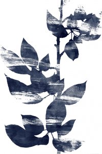 Serene Indigo Botanicals