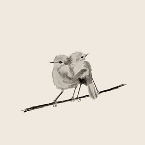 Sweet Bird Couple by Danushka Abeygoda