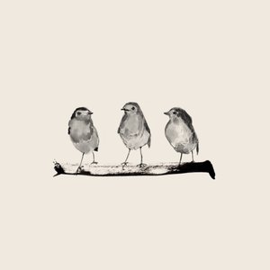 Three Perched Birds by Danushka Abeygoda
