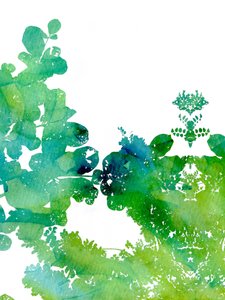 Vibrant Watercolor Leaves by Danushka Abeygoda