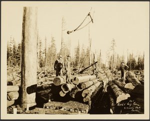 Logging/Timber Scene by Darius Kinsey
