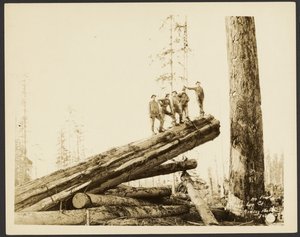Logging/Timber Scene