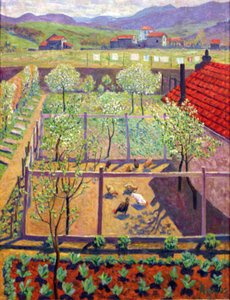 Chicken Yard