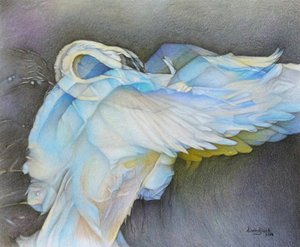 Taking Flight