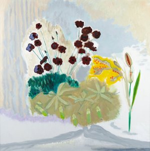 Seedpods and Cosmos by David Alan Redpath Michie
