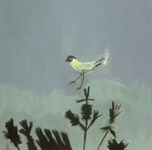 Strange Bird Alighting