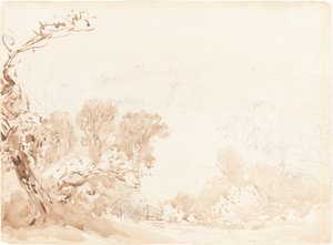 Hillside and Trees