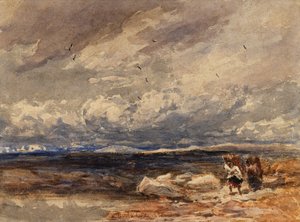 On Carrington Moss
