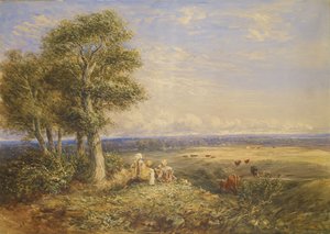 The Skylark