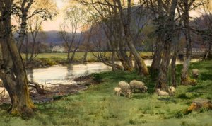 Achray by David Farquharson
