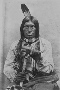 Low Dog War Chief