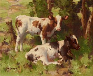 Calves In a Summer Landscape by David Gauld