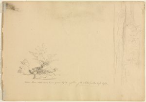 Landscape and Tree Studies, c. 1851 by David Johnson