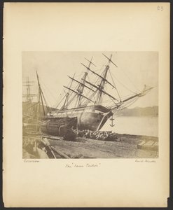The Jane Tudor