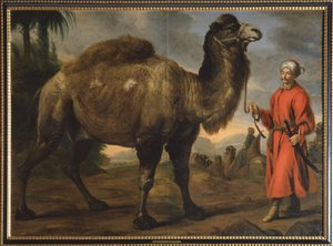 Camel with Handler by David Klöcker Ehrenstrahl