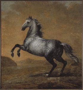 Karl XI