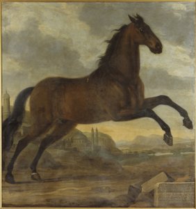 Karl XI