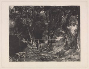 A Dell, Helmingham Park, Suffolk by David Lucas