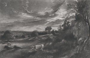 Summer Evening by David Lucas