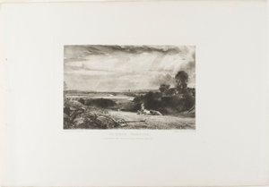 Summer Morning