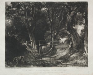 Various Subjects of Landscape, Characteristic of English Scenery from Pictures Painted by John Constable, R.A.: Dell in the Woods of Helmingham Park, Suffolk