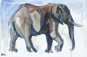 Bull Elephant, 2018