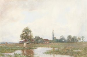 Through the Water Meadow
