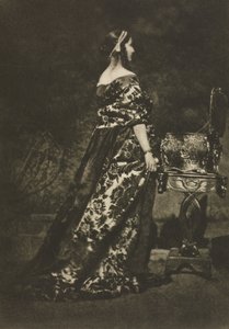 Camera Work: Portrait - The Gown and the Casket
