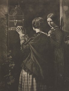The Bird-Cage by David Octavius Hill