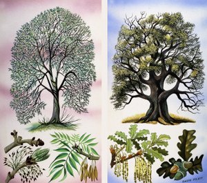 Trees You Can See by David Pratt