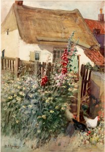 The Garden