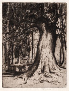 The Sycamore