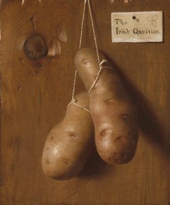 The Irish Question, 1880s by De Scott Evans