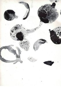 Fluid Abstract Shapes by Deb Chaney